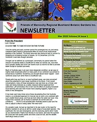 Newsletter