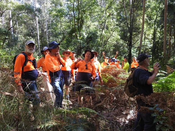 Visiting the Tall Gums reserve to find features of interest for the new bush walk.