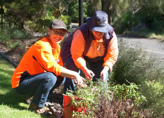 Deb teaching Kerry about propagation - taking cuttings of Koala Bells.