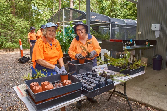 Sue & Deb propagating (May 2019)