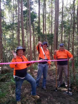 The Western Tall Gum Trailwork begins.