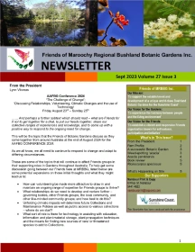 Newsletter1